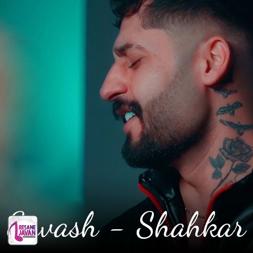 دانلود آهنگ تو شاهکار از ساواش